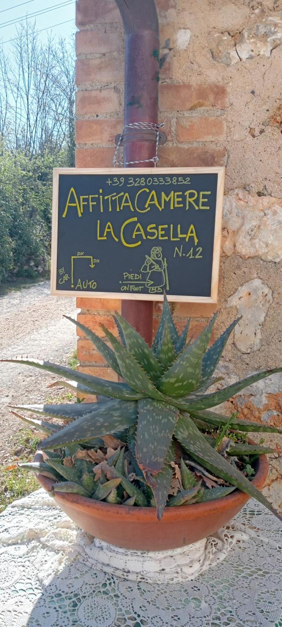 Affittacamere La Casella מונטריג'יוני מראה חיצוני תמונה